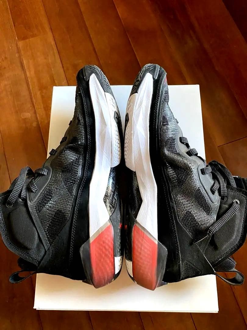 AIR JORDAN XXXVII PF 28.5㎝