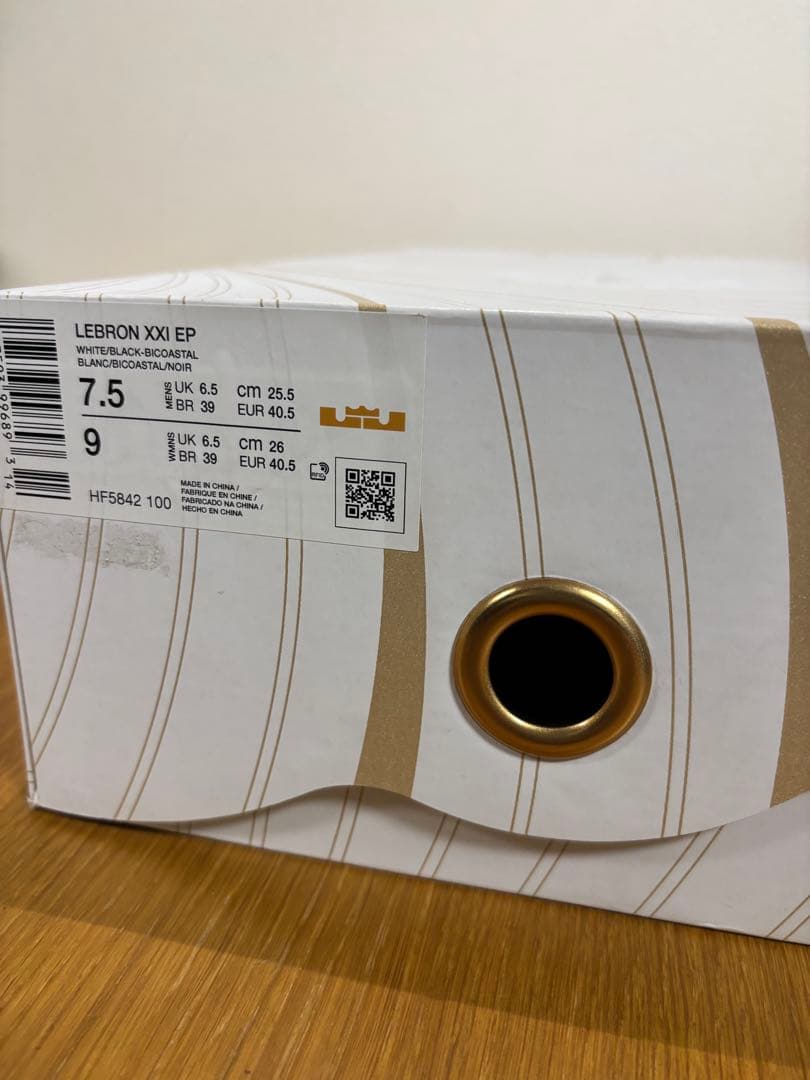 NIKE LEBRON XXXI EP レブロン 21 25.5cm