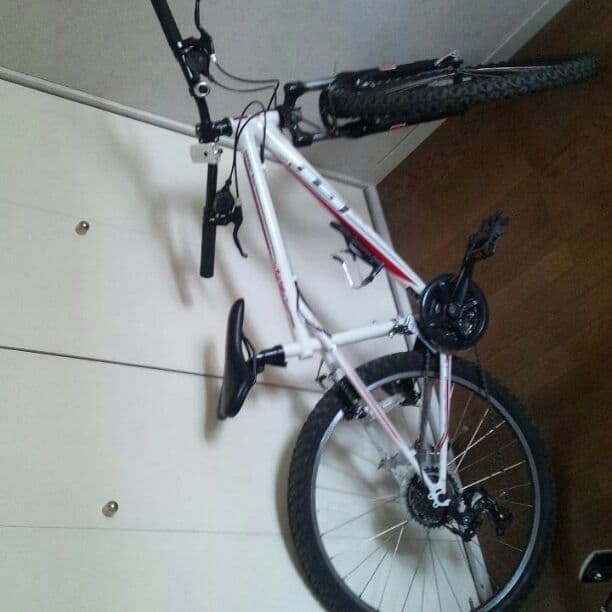 自転車本体 GT  PALOMAR model