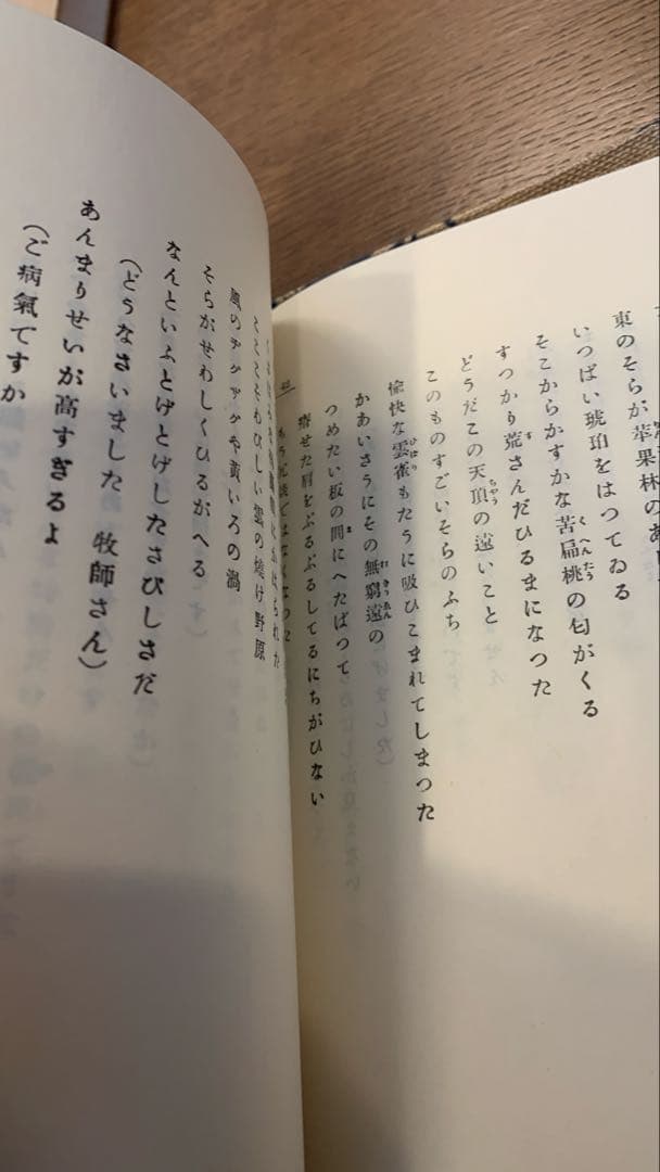 【保護函付】春と修羅 宮沢賢治 名著複刻全集　近代文学館