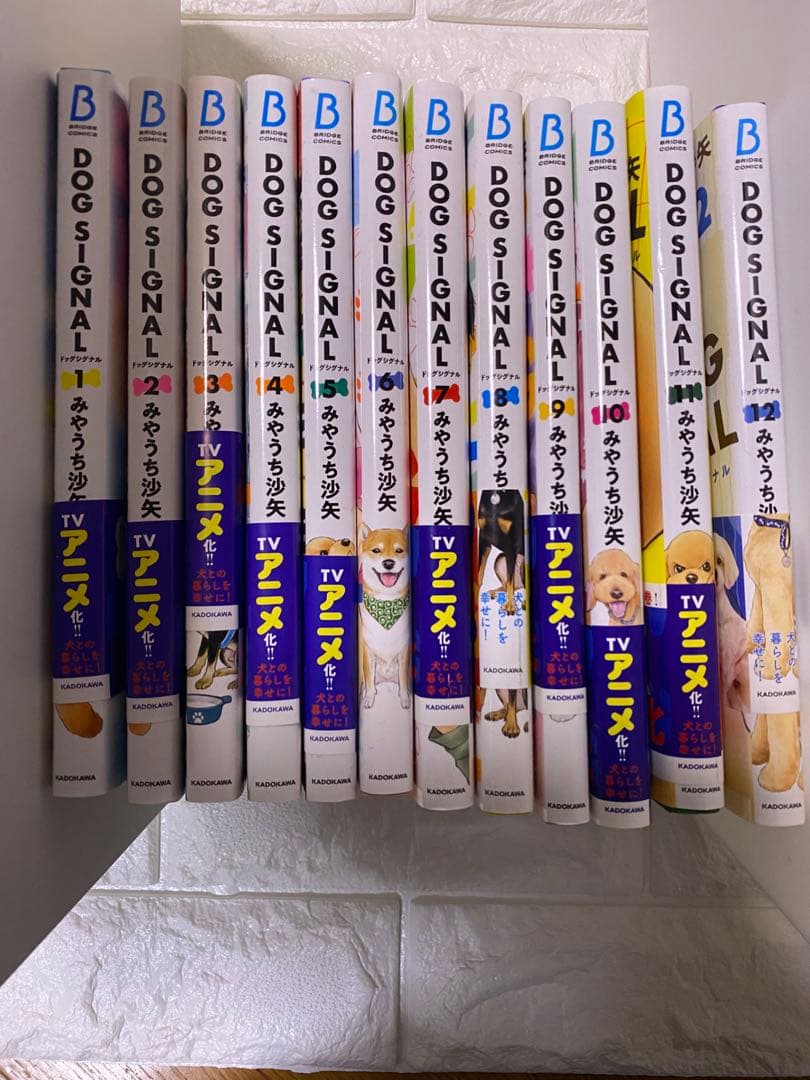 DOG SIGNAL 12巻まで全巻セット 6巻以外帯付きドッグシグナル