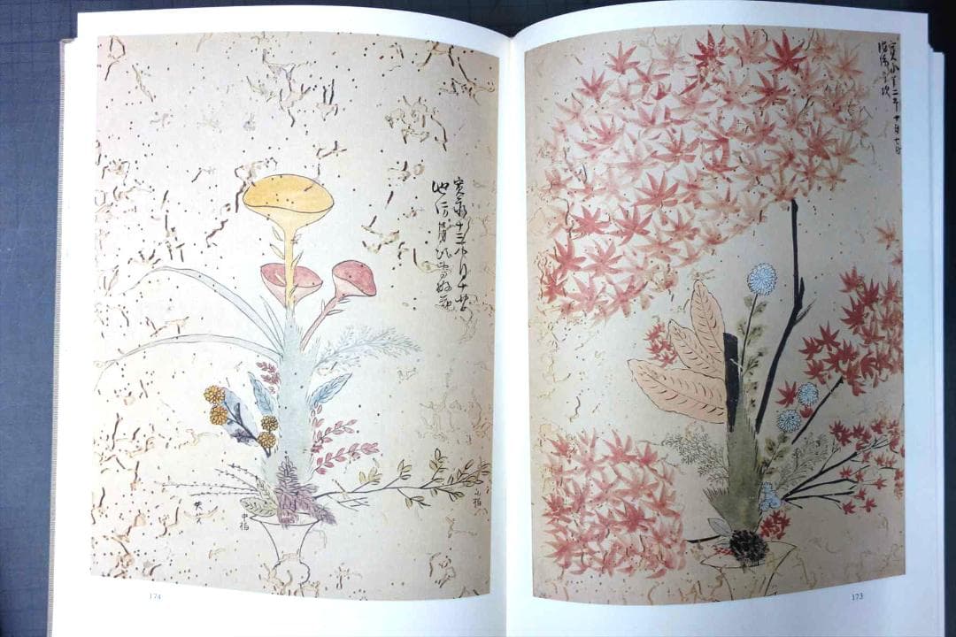 池坊専永撰　池坊専好立花名作集　図録/解説　２冊函入　日本華道社　華道/生花