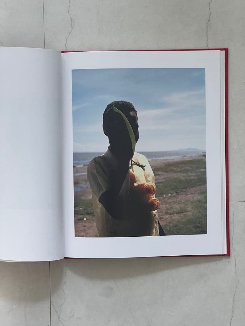 アート・デザイン・音楽 VIVIANE SASSEN \"LEXICON\"