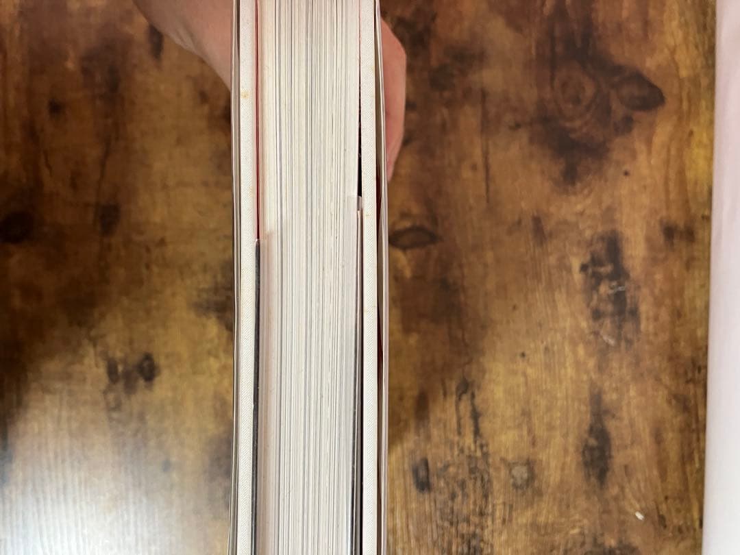 【美品】Supreme Rizzoli 15周年記念 Book 写真集