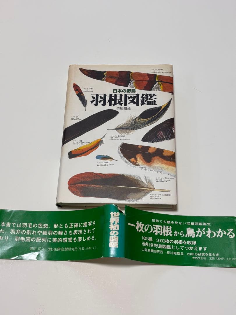 日本の野鳥　羽根図鑑