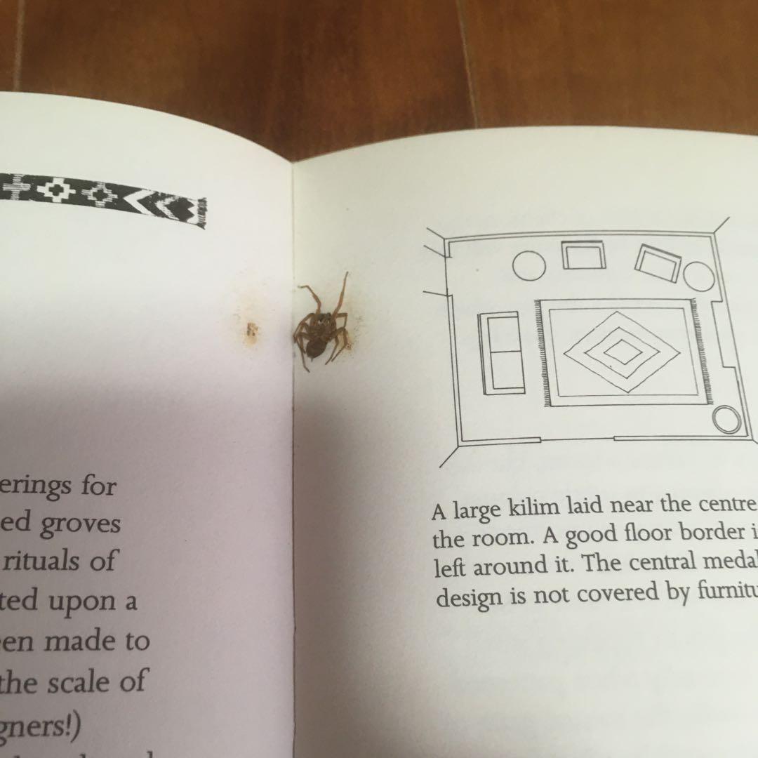 洋書　Living with Kilims ペルシャ絨毯の本