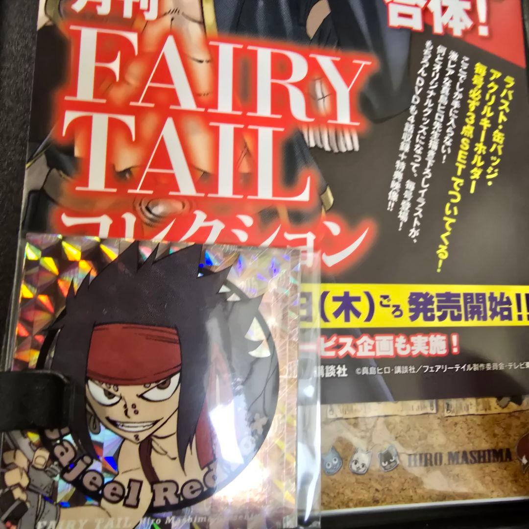 月刊 FAIRY TAIL マガジン 1-13巻