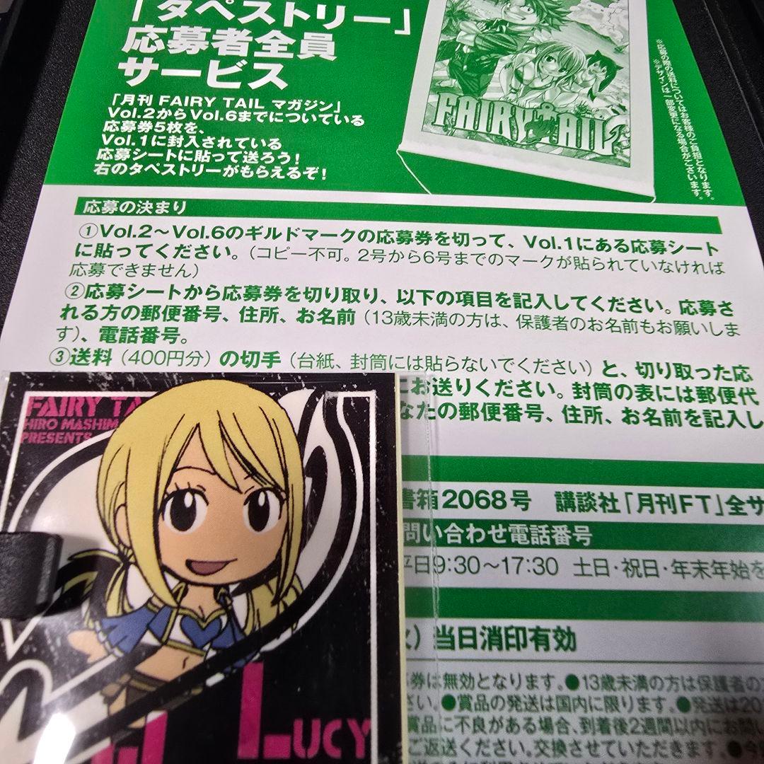 月刊 FAIRY TAIL マガジン 1-13巻