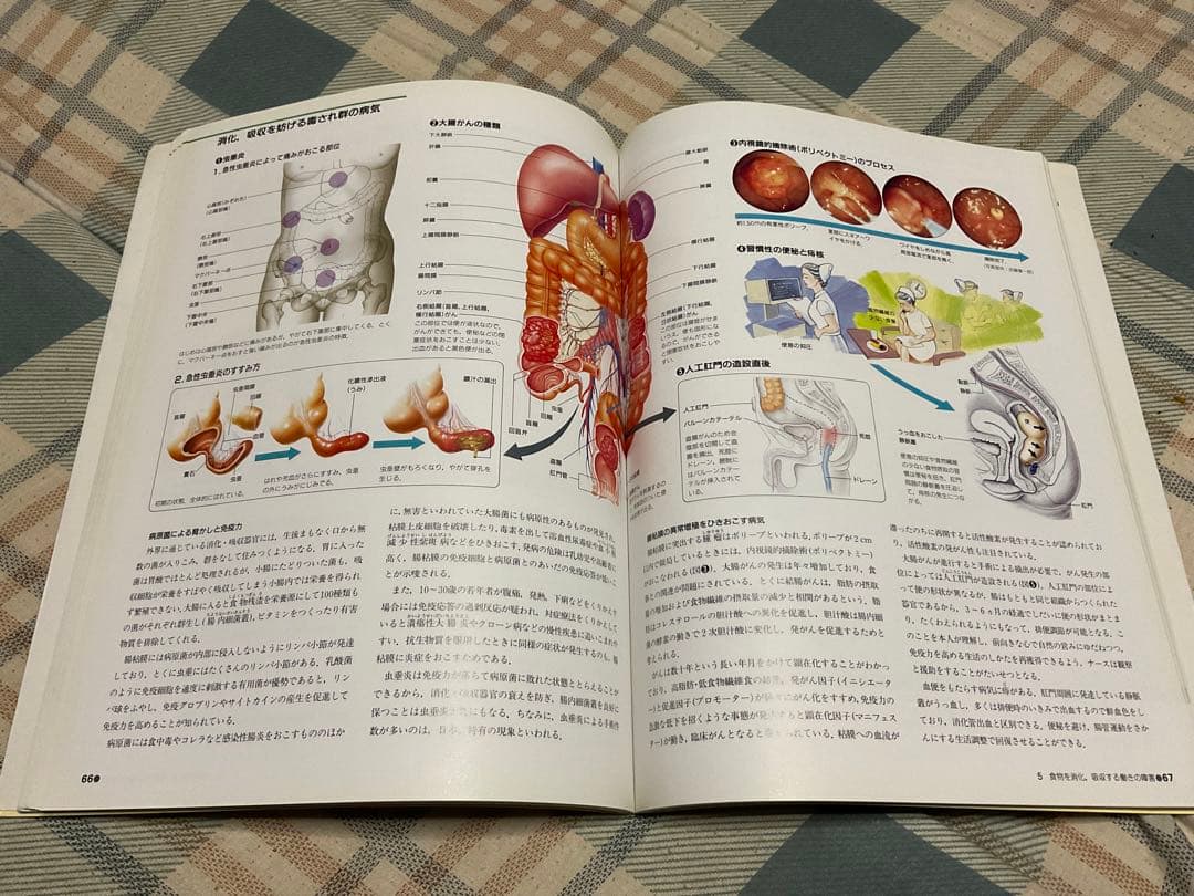 ナースが視る病気と、ナースが視る人体（医学書）講談社。【これから医師を目指す方】