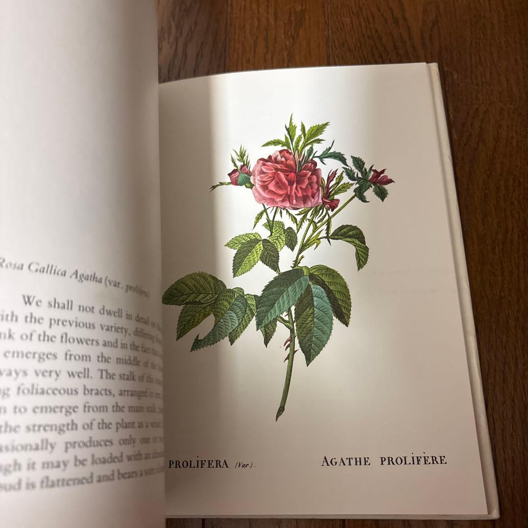 P.J. REDOUTÉ Roses アートブック