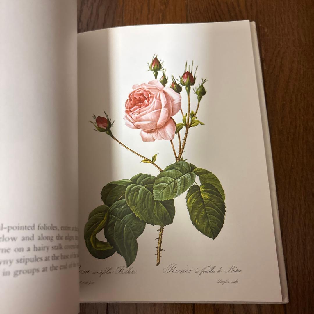 P.J. REDOUTÉ Roses アートブック