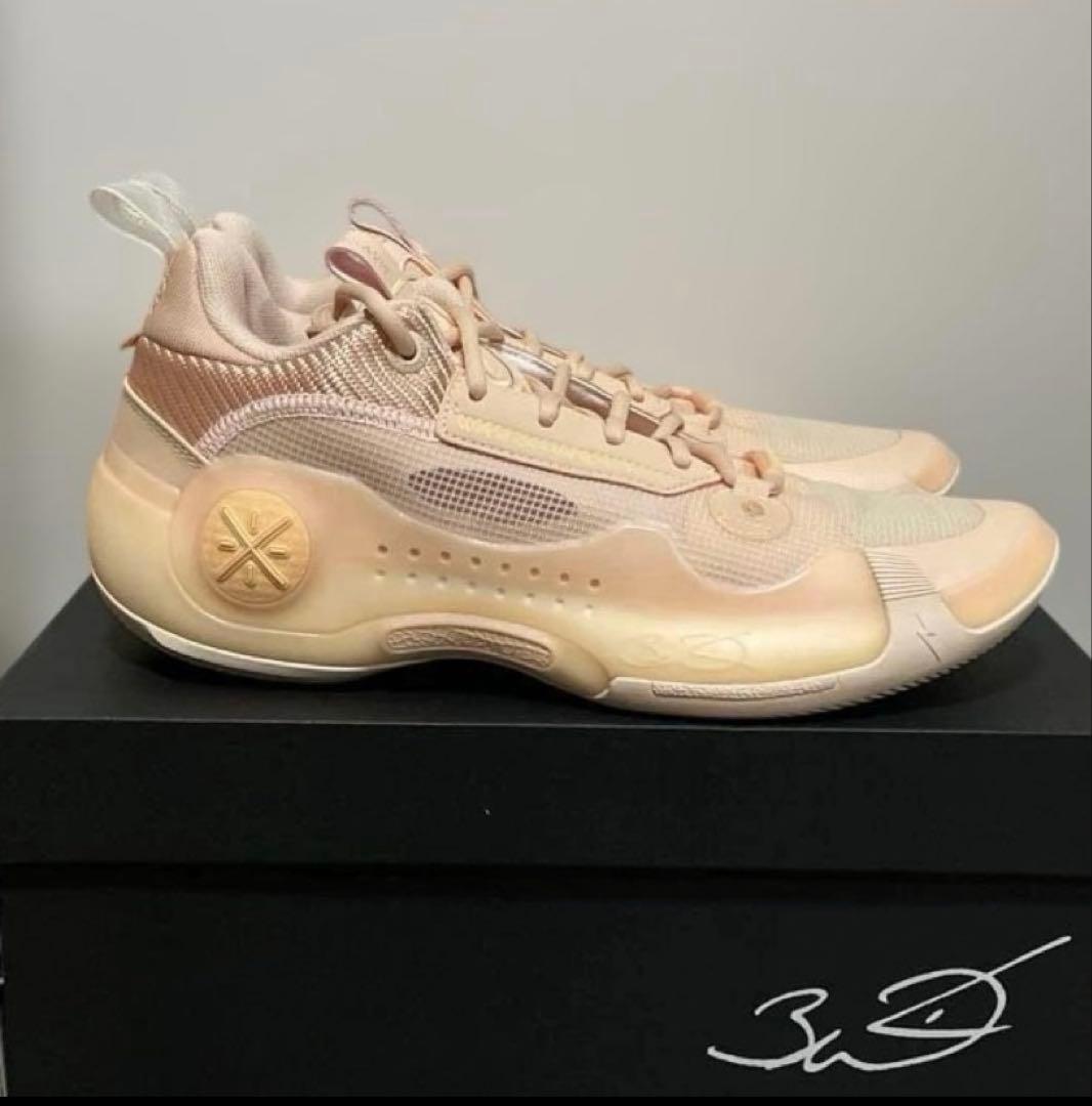 リーニン　WAY OF WADE 10 LOW 26.0cm(US8.5)