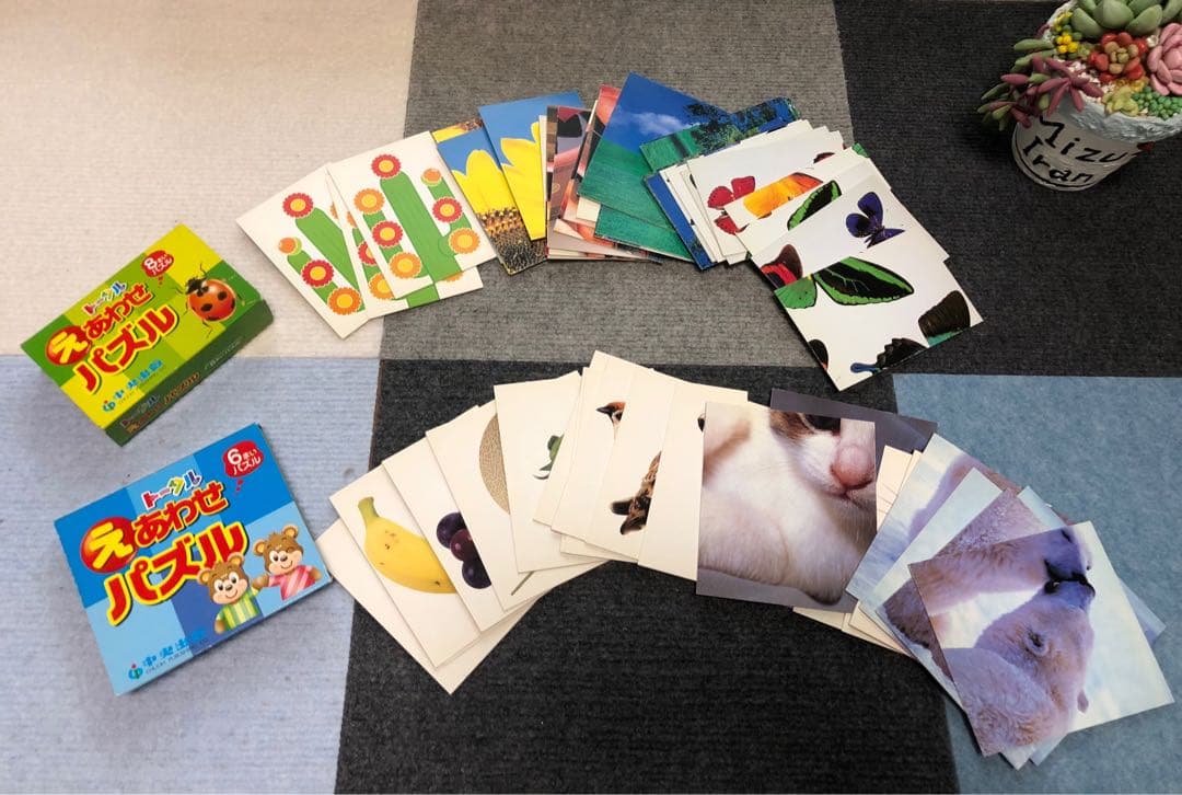 トータル　療育　絵カード　パズル　英語　CD かるた　カードパネル　セット