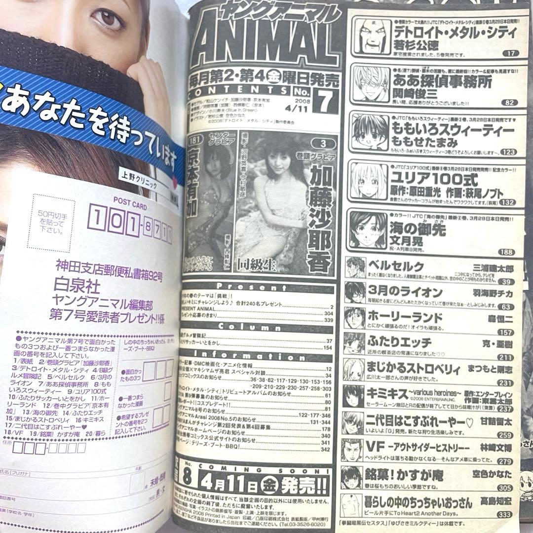 ヤングアニマル/ベルセルク 第295話 /デトロイトメタルシティ 2008年7号