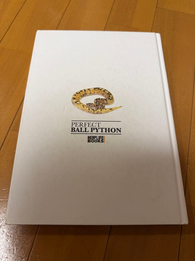 パーフェクトボールパイソン　PERFECT BALL PYTHON