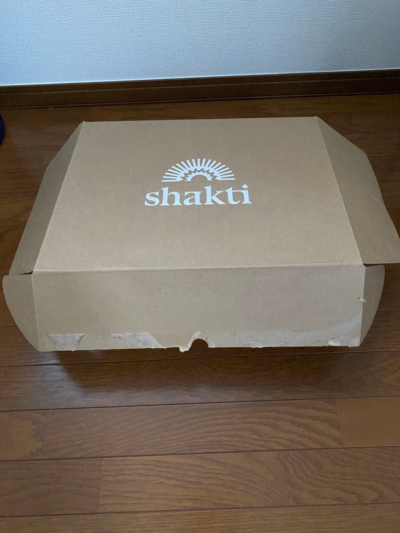 shakti シャクティ プレミアムピロー