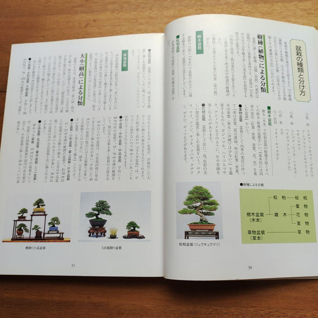 楽しい沖縄の盆栽づくり
