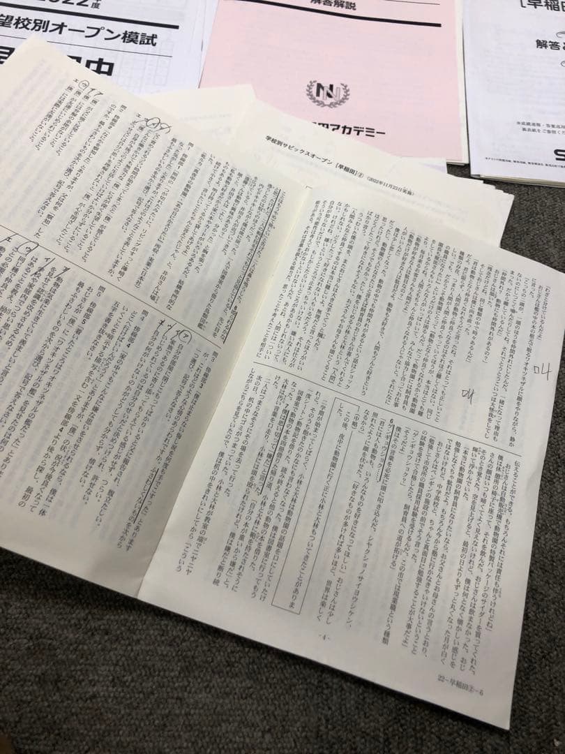 早稲田アカデミー/サピックス　志望校別模試　早稲田中　計８回　2023年受験