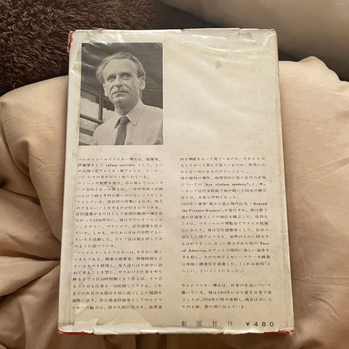 裏から見た現代住宅