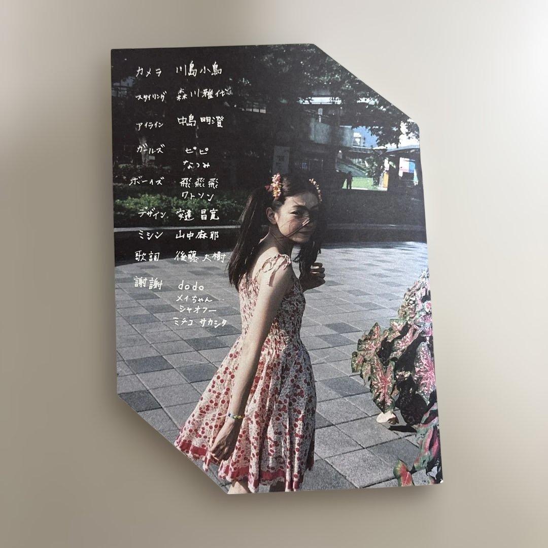 【激レア/フルセット】川島小鳥 ZINE「リベルティーン」＋ステッカー3種類