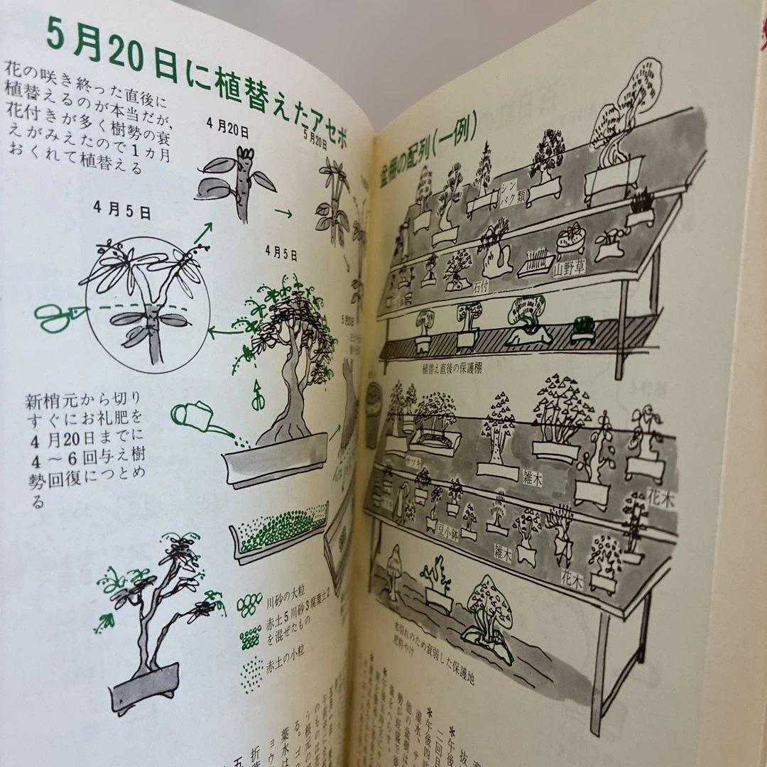 ★希少★ 絵説き 盆栽の手入れ