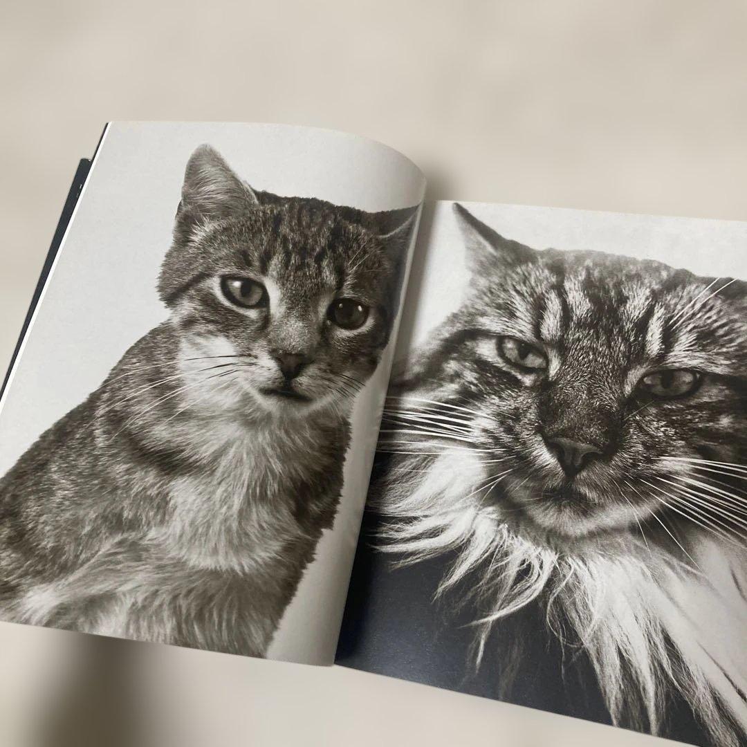 Die Seele der Tiere - 写真集