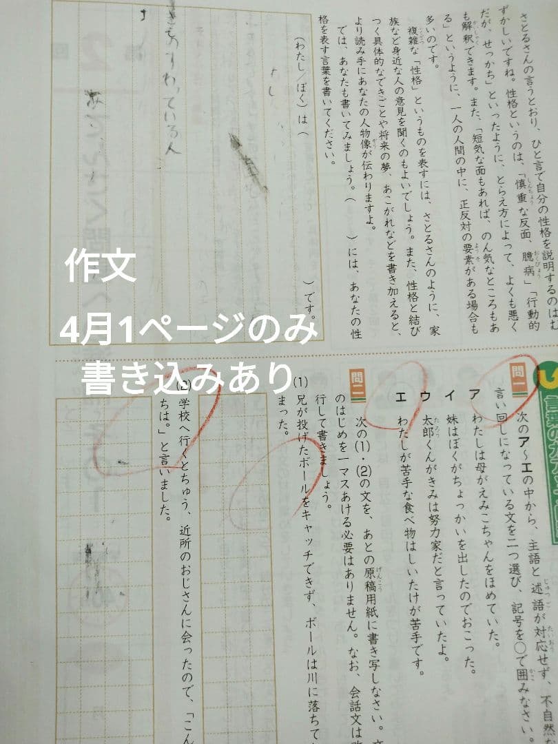 Z会 小5 エブリスタディ 公立中高一貫校適性検査 最新版2026年3月迄1年分