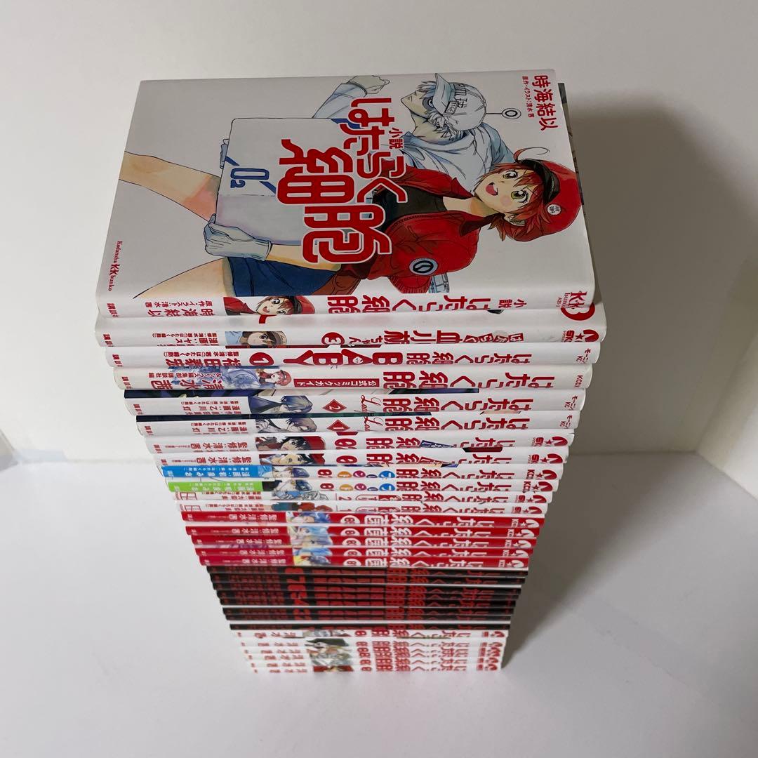 はたらく細胞 全6巻＋black全8巻＋細菌5冊＋関連本12冊の31冊セット