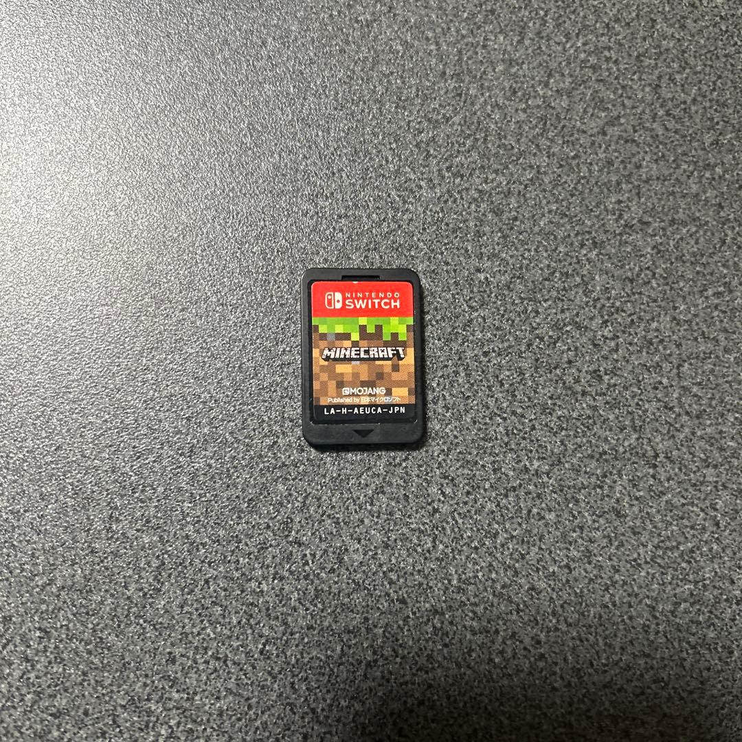 Nintendo Switch 本体 マイクラソフト付き