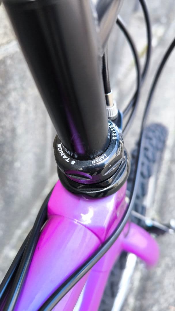 奇跡！日本で恐らく1台！新車のリッジランナー　OLD MTB