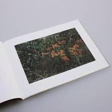 【William Eggleston ：Flowers 】★★未開封新品・美本