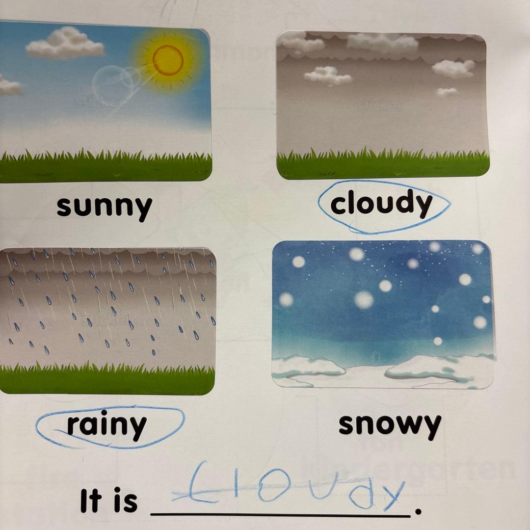 5セット売り⭐︎zoo phonics kids english learning