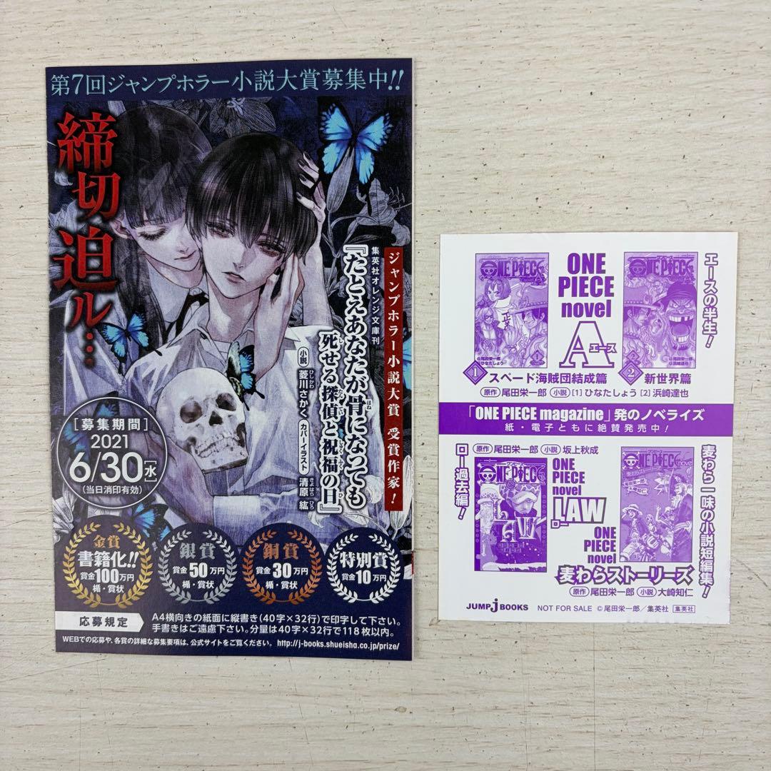 ONE PIECE novel HEROINES ワンピース ノベルヒロインズ