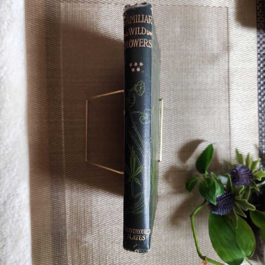 植物図鑑　洋書　古書　アンティーク　Familar Wild Flowers⑤