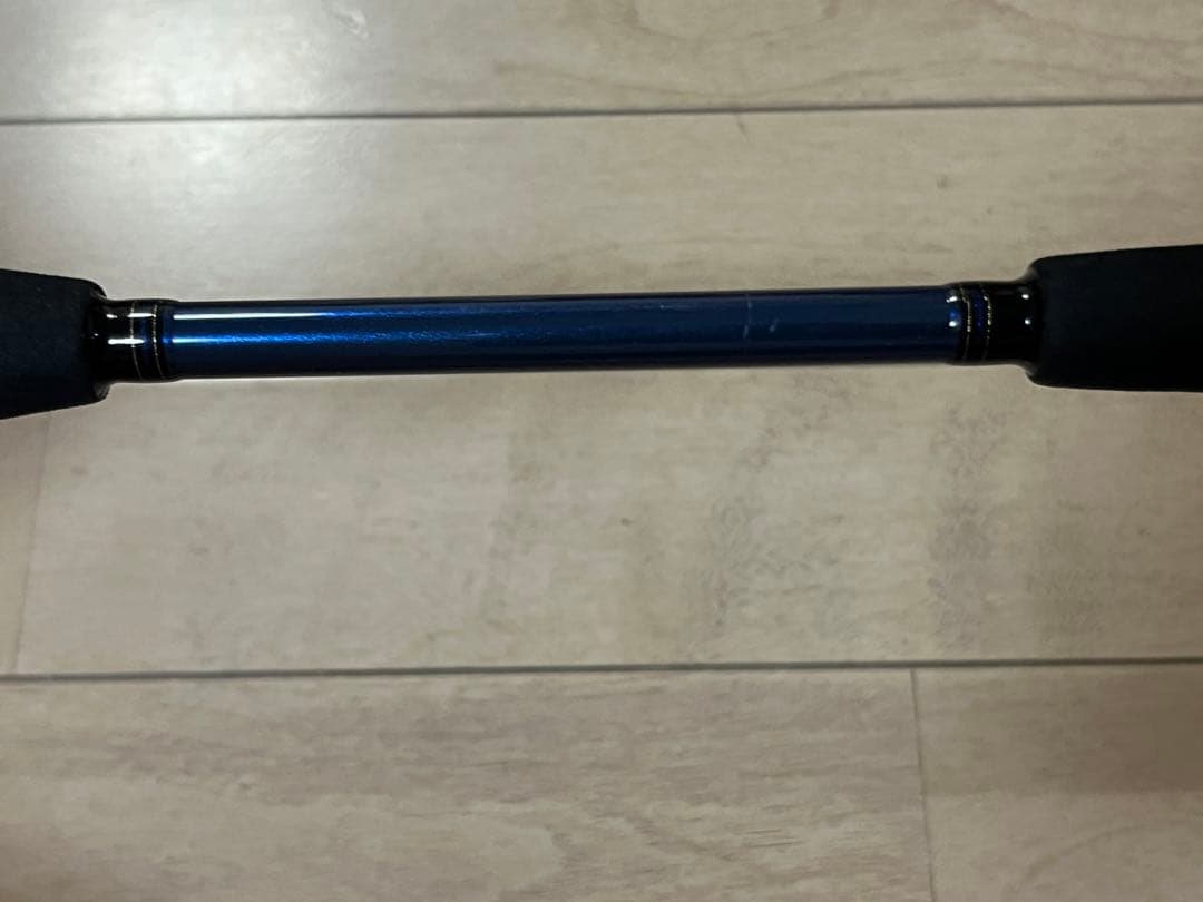 ダイワDAIWA極鋭タチウオゲーム　M180 AGS