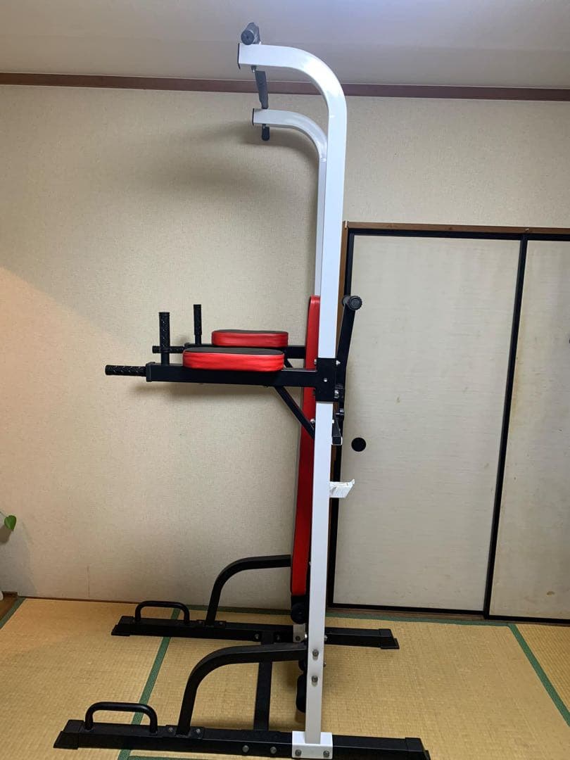 WASAI HD5005 ぶら下がり健康器