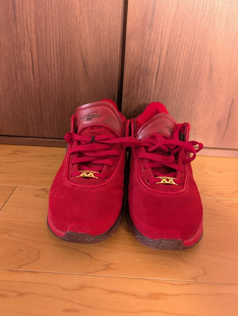 イットNike LeBron 20 Liverpool FC 26cm