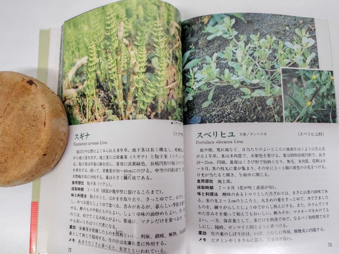 『とやまの山菜・きのこ』 見分け方・採取時期・味と料理・薬効などを解説 稀覯本