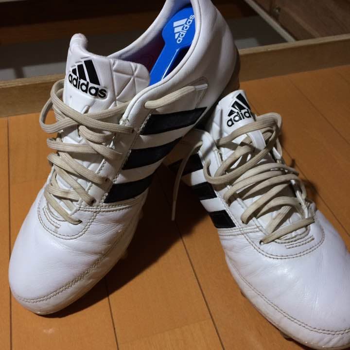 グローロFg
