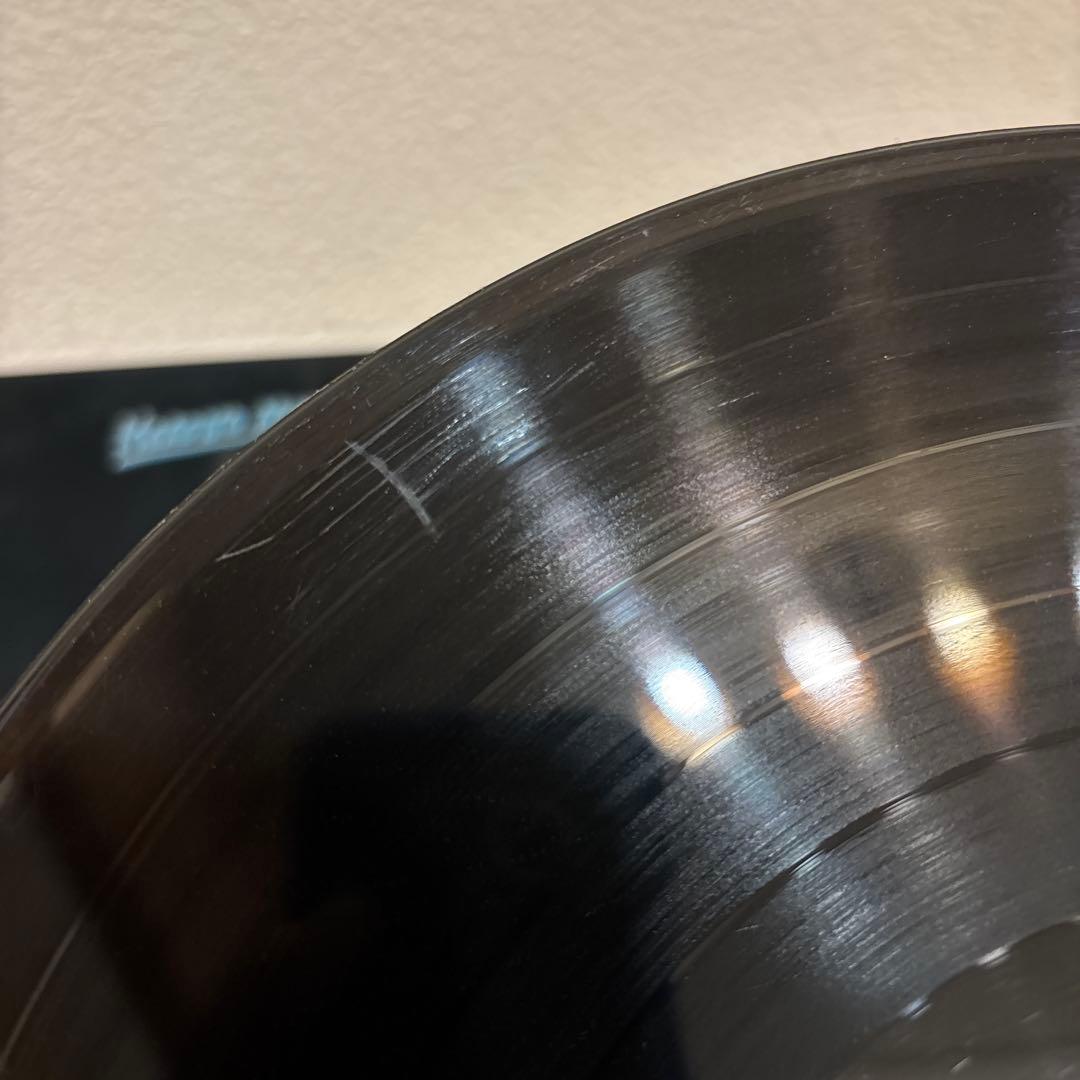 細野晴臣 レコード 2点セット Cochin Moon Hosono House