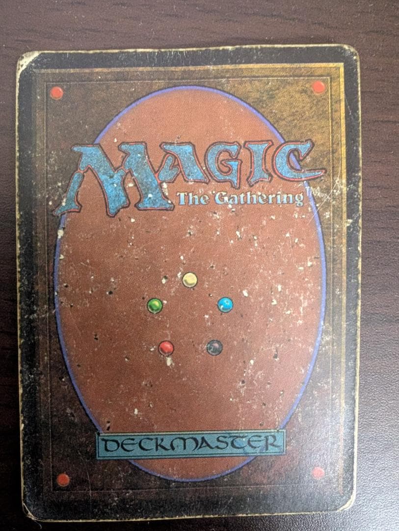 マジック：ザ・ギャザリング MTG Tropical  HP