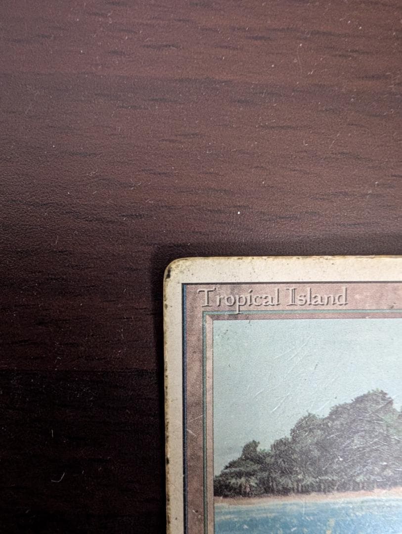 マジック：ザ・ギャザリング MTG Tropical  HP