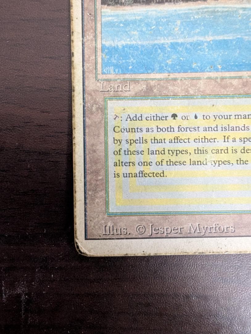 マジック：ザ・ギャザリング MTG Tropical  HP