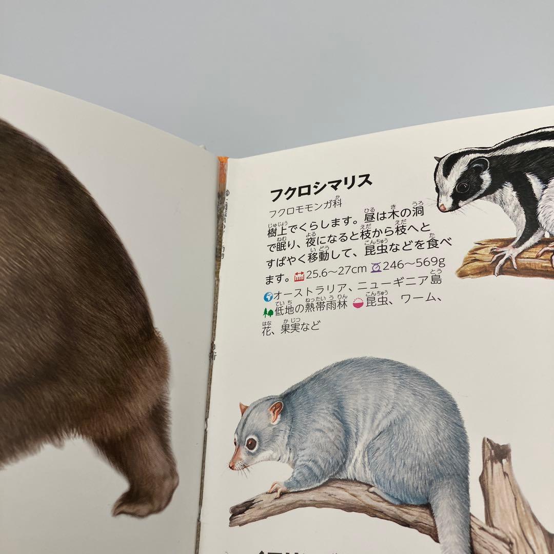 講談社の動く図鑑 MOVE 14冊 DVD12枚　講談社　動物　宇宙　植物