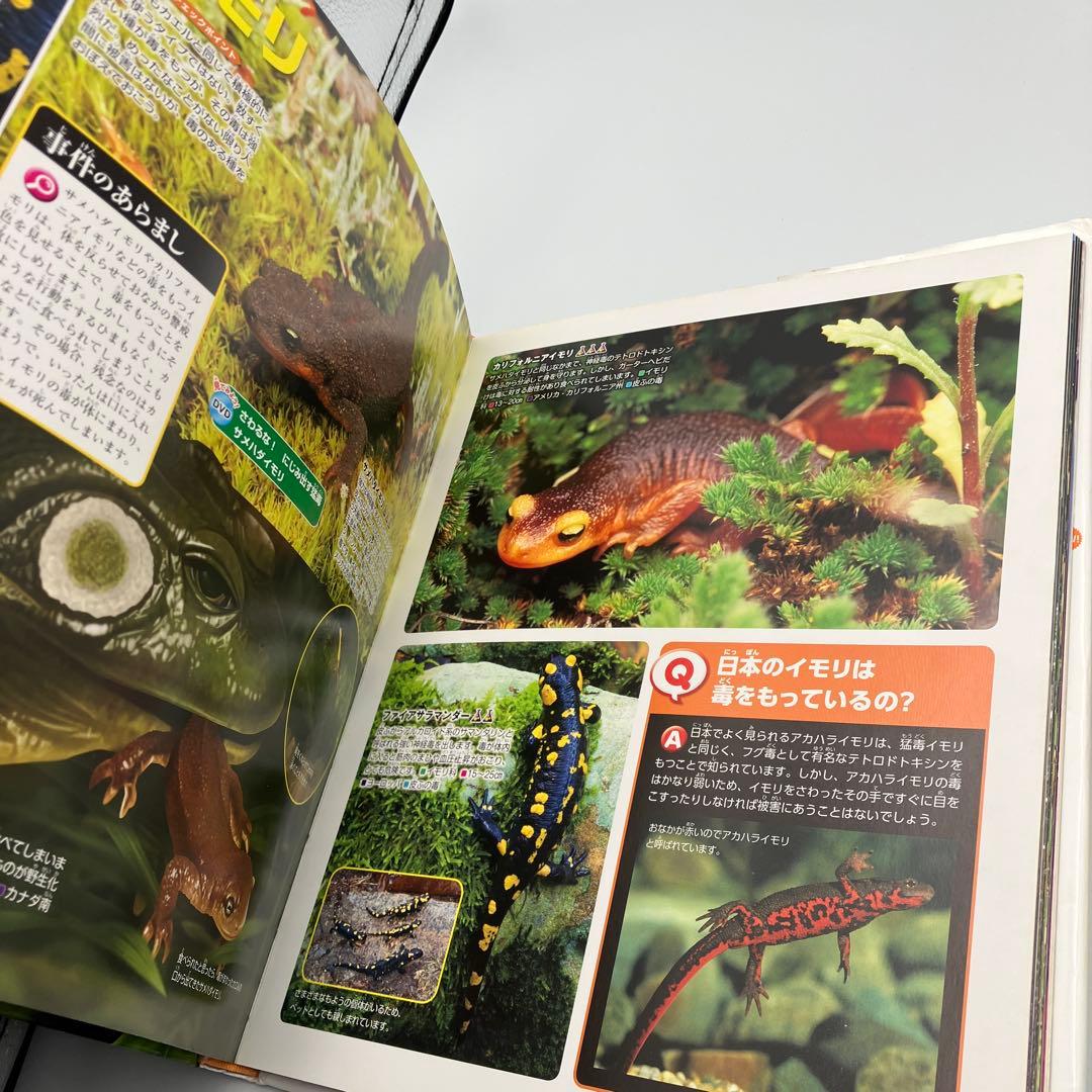 講談社の動く図鑑 MOVE 14冊 DVD12枚　講談社　動物　宇宙　植物