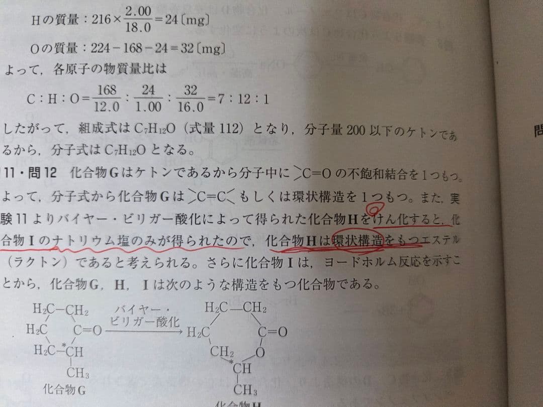 東北大理系セット