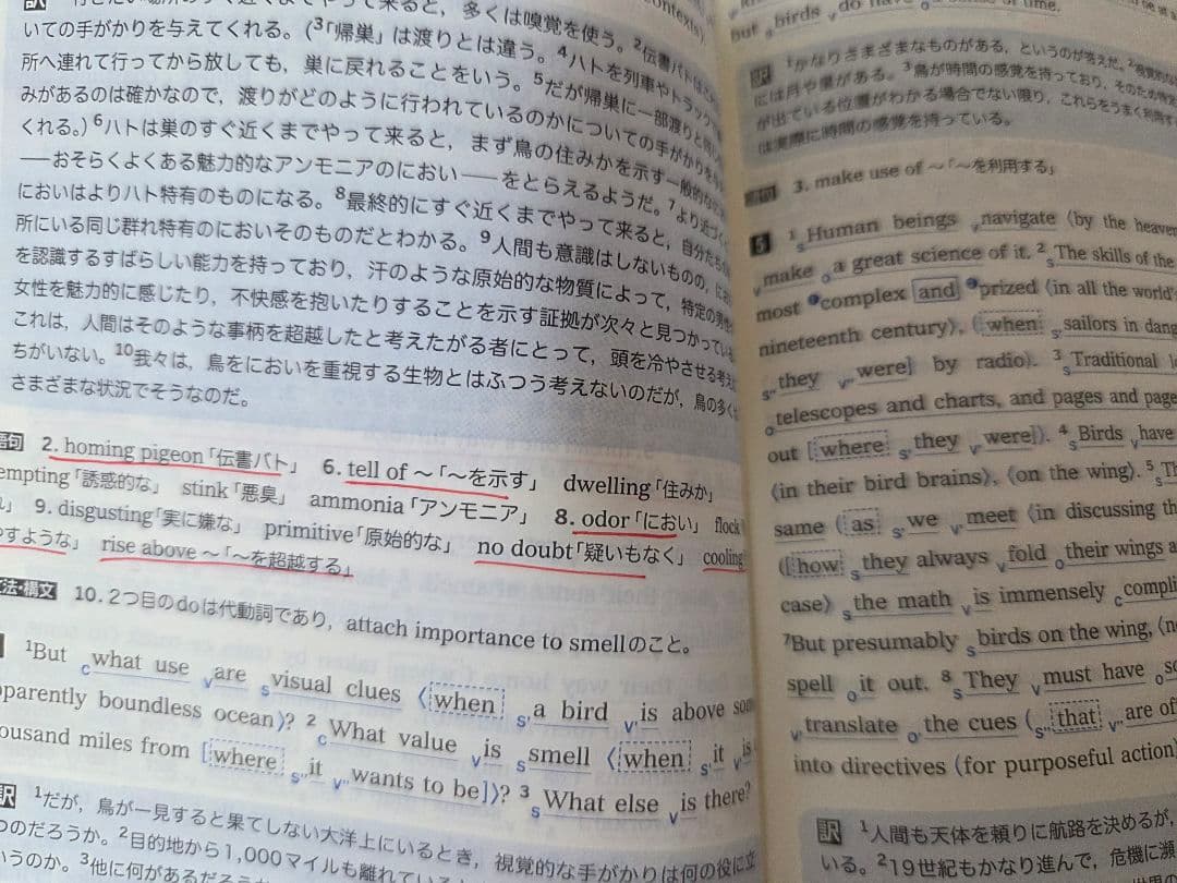 東北大理系セット