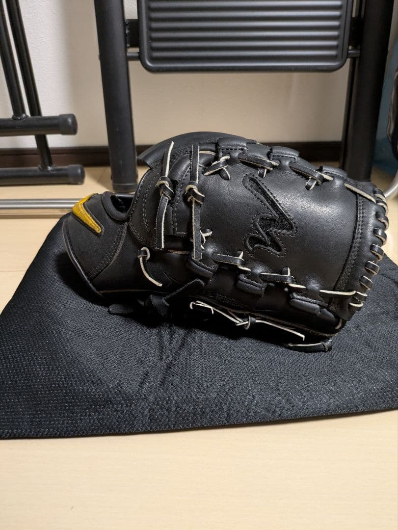Nike グローブ 袋付き