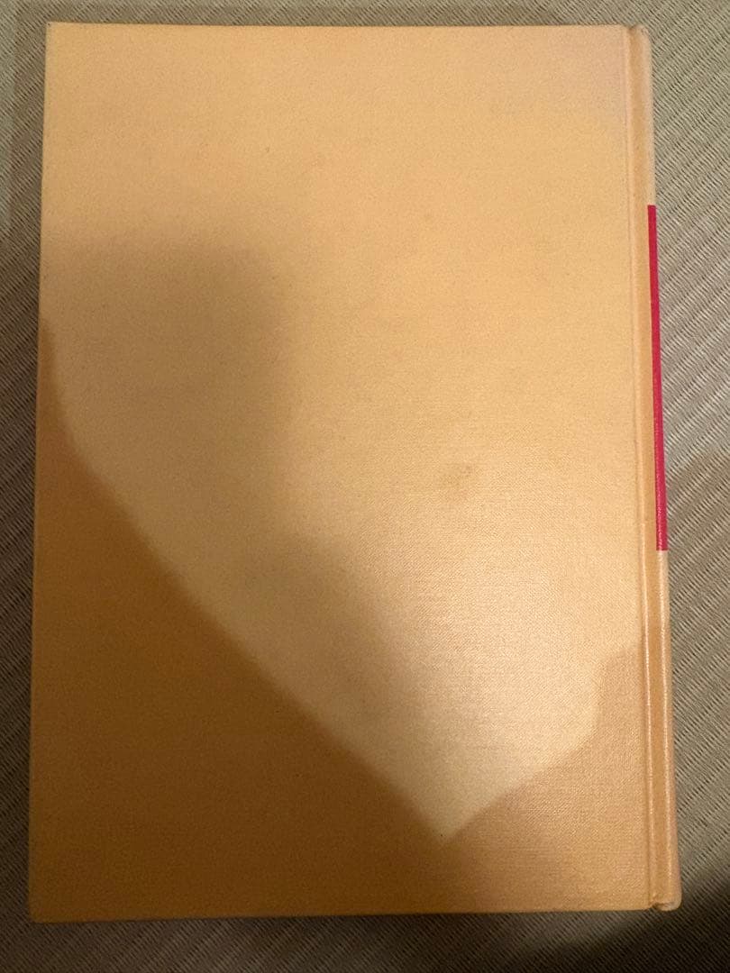 洋書 Wonderful Things Happen English edition