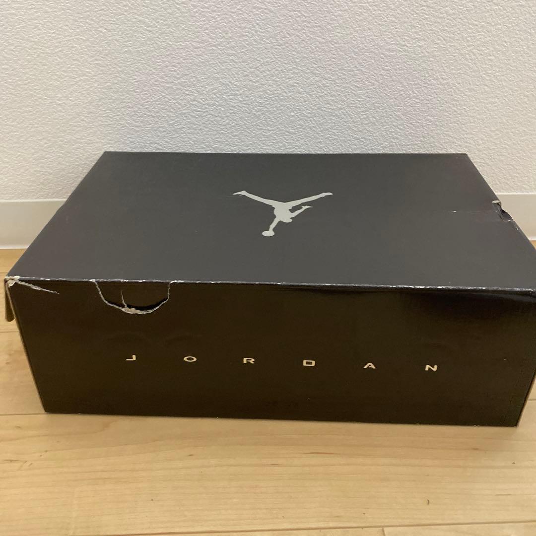 Jordan ナイキ ジョーダン スパイジーク 29cm US11